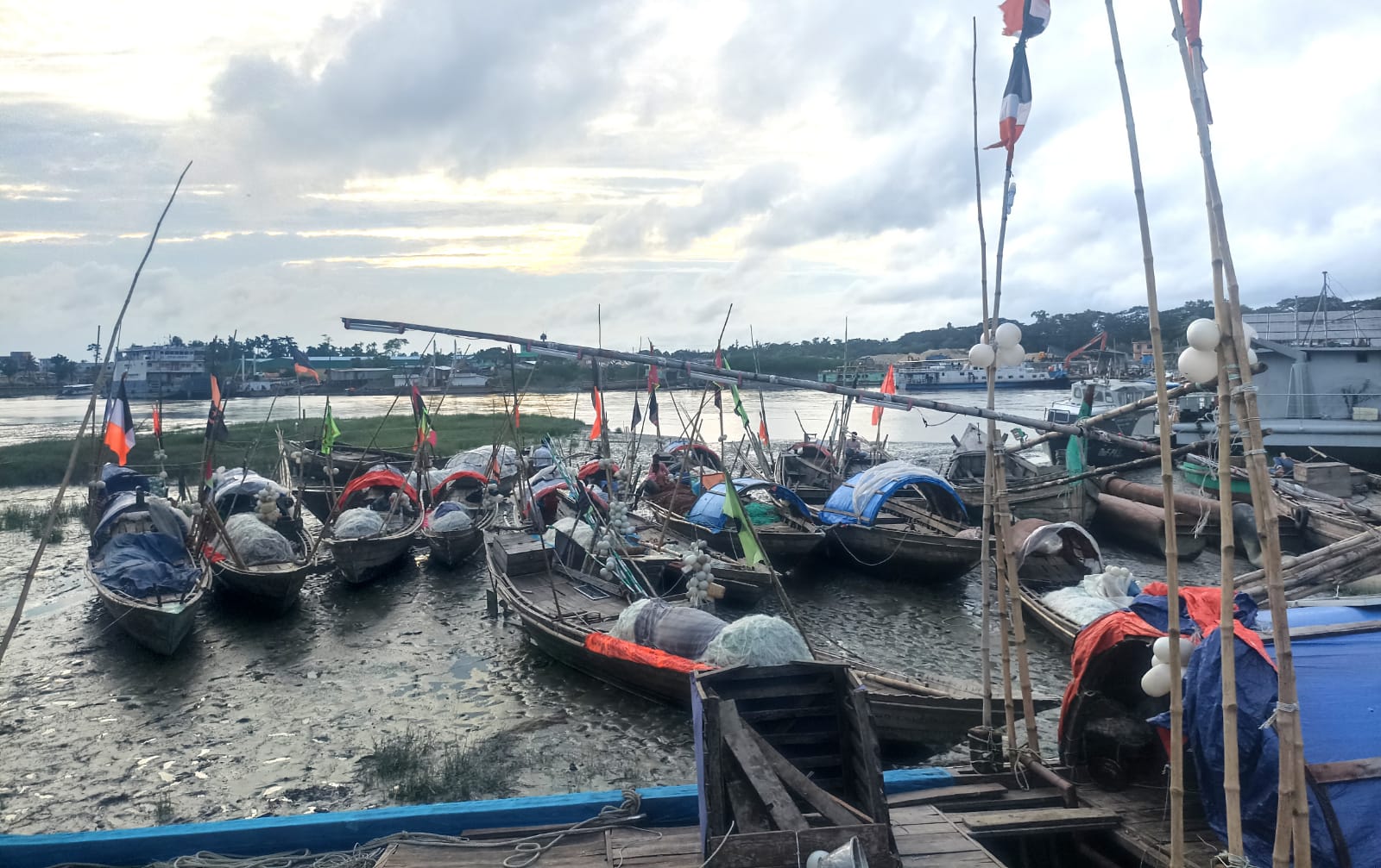 আজ থেকে ২২ দিন লক্ষ্মীপুরের মেঘনায় ইলিশ আহরণে নিষেধাজ্ঞা